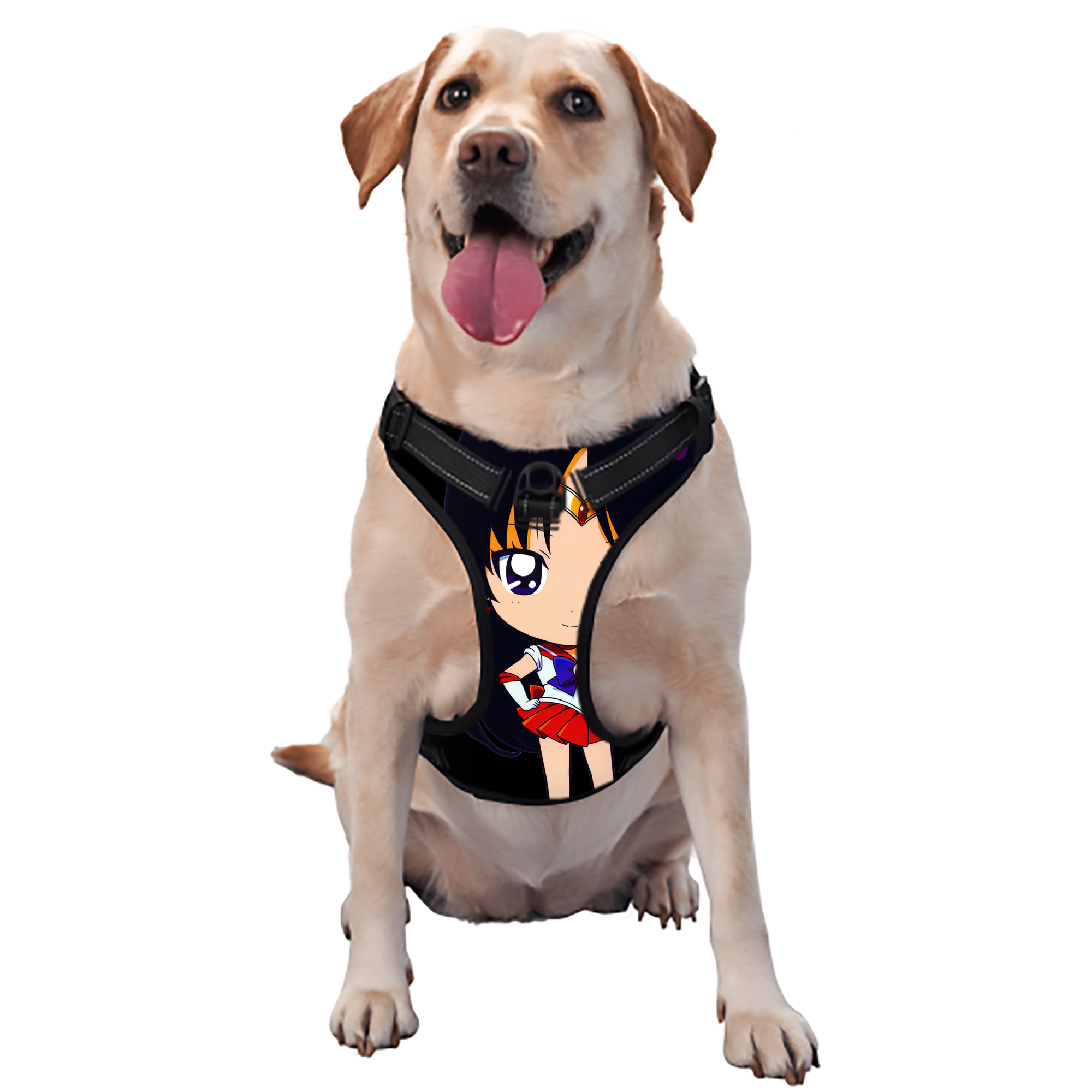 （画像用） 美少女戦士セーラームーン 火野レイ ひの レイ Sailor Moon Hino Rei （セーラーマーズ,Sailor Mars） ペット用ハーネス